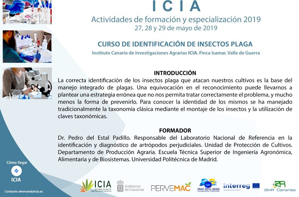 CURSO DE IDENTIFICACIÓN DE INSECTOS PLAGA EN EL ICIA