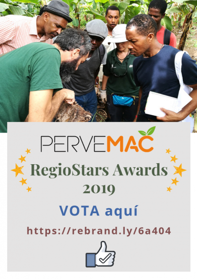 RegioStars Awards 2019_Vote