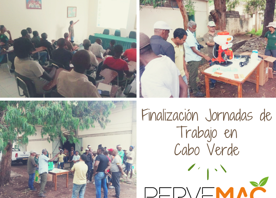 TRANSFERENCIA DE LOS PRIMEROS RESULTADOS DEL PROYECTO PERVEMAC II A LOS AGRICULTORES DE CABO VERDE CABO VERDE. 14-19/10/2018