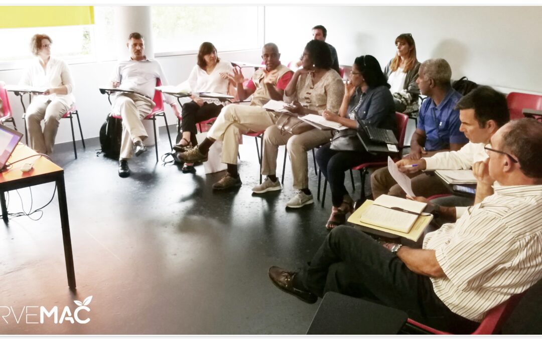 REUNIÓN SOBRE LEGISLACIÓN Y USO SOSTENIBLE DE PESTICIDAS EN AZORES TERCEIRA. 03/07/2018