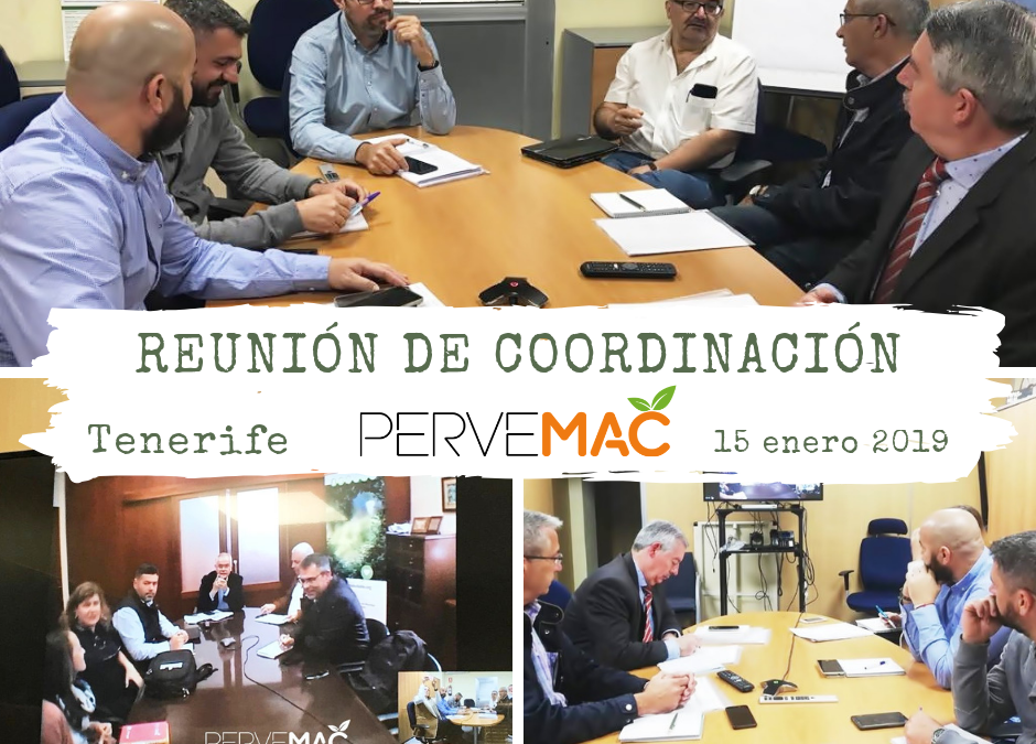 PRIMERA REUNIÓN DE COORDINACIÓN ENTRE SOCIOS TENERIFE. 15/01/2019