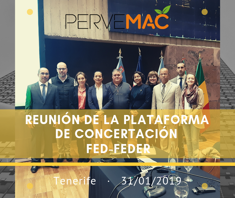 REUNIÓN DE LA PLATAFORMA DE CONCERTACIÓN FED-FEDER TENERIFE. 31/01/2019